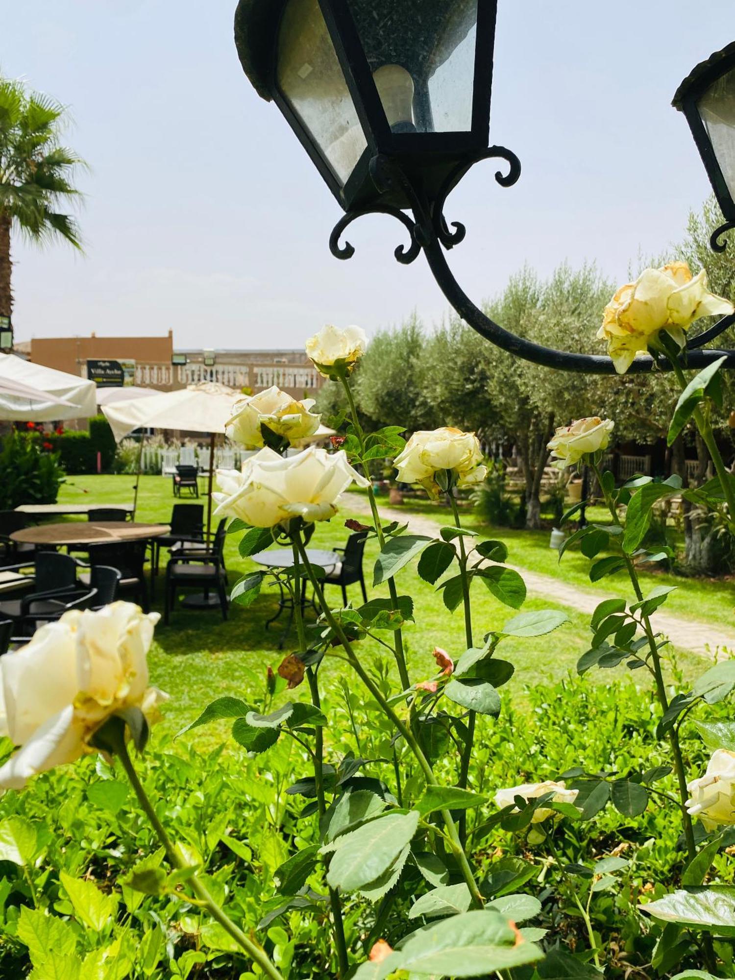 Villa Ayche Tameslouht Екстериор снимка